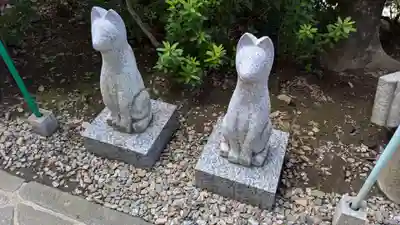 花園稲荷神社の狛犬