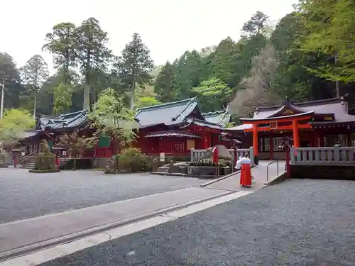 箱根神社のその他建物