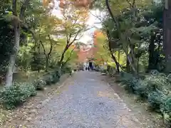 浄住寺(京都府)