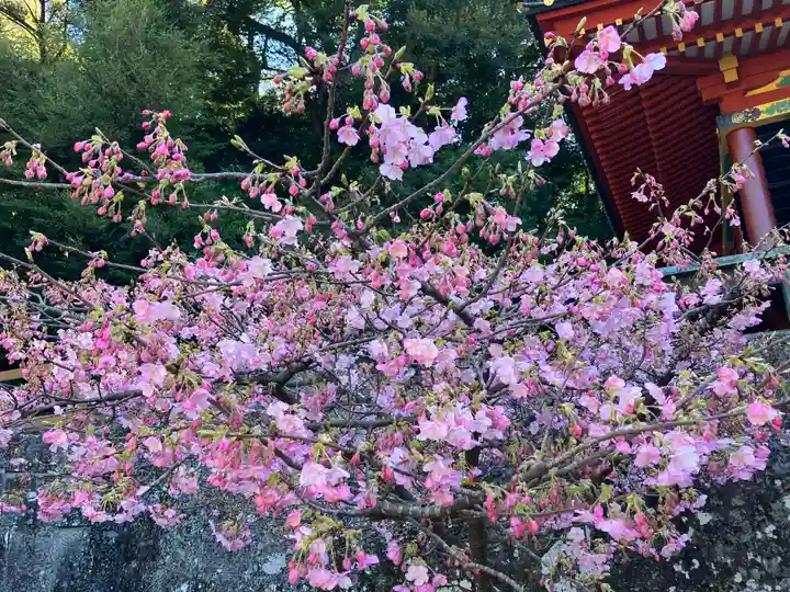 久能山東照宮(静岡県)