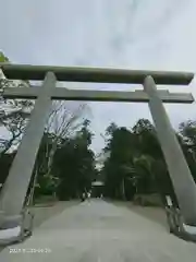 鹿島神宮の鳥居