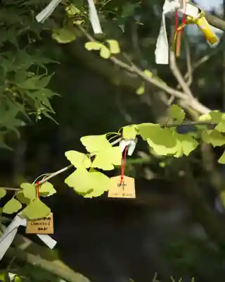 行田八幡神社(埼玉県)