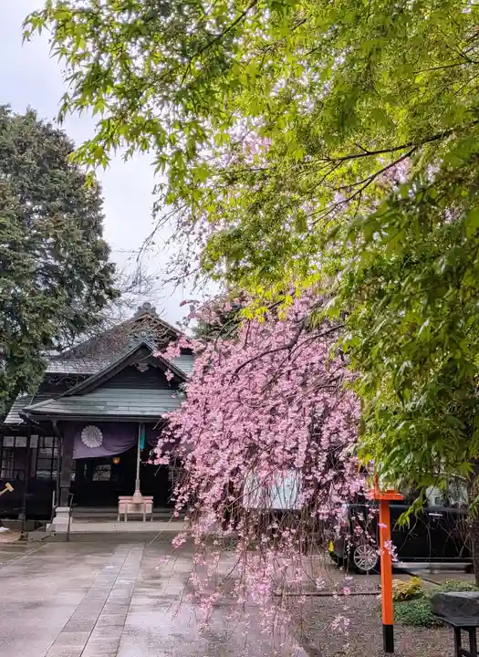 猿田彦神社(東京都)