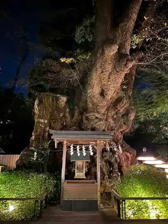 來宮神社(静岡県)
