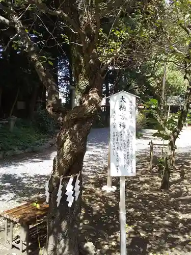 北野天神社の庭園