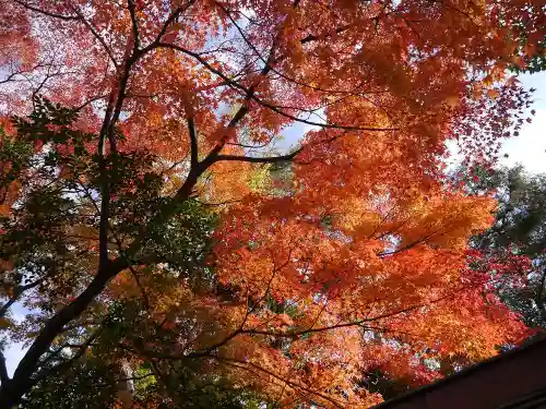 氣比神宮の自然