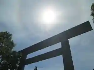 屋久島大社の自然(2022年07月08日(金) 16時02分08秒投稿)