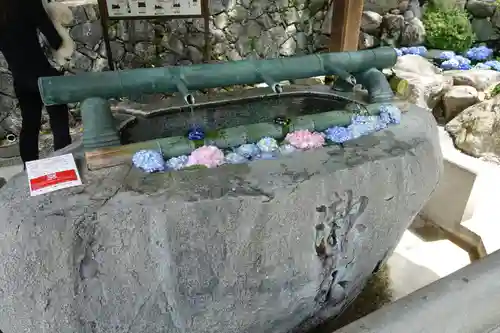 岡寺（龍蓋寺）の手水舎