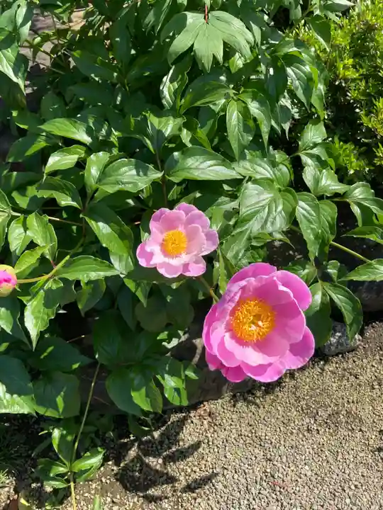龍源寺(神奈川県)