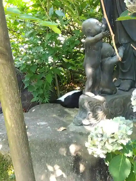 御誕生寺(猫寺)(福井県)