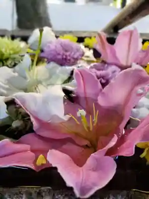 鳩森八幡神社の手水舎