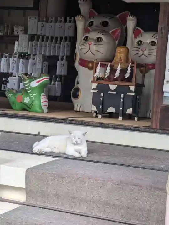 今戸神社(東京都)