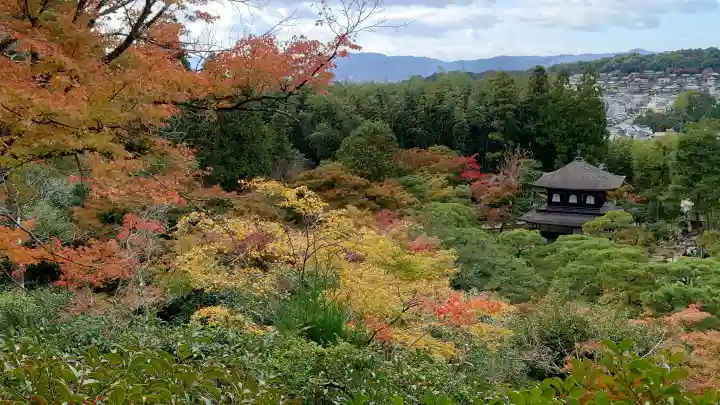慈照寺(慈照禅寺・銀閣寺)の{uncategorized: "未分類", other: "その他", undefined: "問題あり", building: "その他建物", grave: "お墓", sacred_gate: "鳥居", guardian: "狛犬", statue: "像", buddha: "仏像", history: "歴史", nature: "自然", garden: "庭園", animal: "動物", pagoda: "塔", temizu: "手水舎", mountain_gate: "山門・神門", sanctuary: "本殿・本堂", subordinate: "末社・摂社", art: "芸術", scenery: "景色", jizo: "地蔵", ema: "絵馬", goshuin: "御朱印", omikuji: "おみくじ", items: "授与品その他", amulet: "お守り", goshuincho: "御朱印帳", eats: "食事", festival: "お祭り", votive_dance: "神楽", shichigosan: "七五三参", wedding: "結婚式", experience: "体験その他", initially: "初詣", around: "周辺", anti_infection: "感染症対策"}