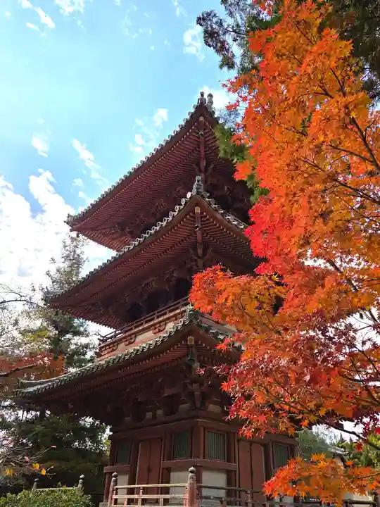 太山寺(兵庫県)