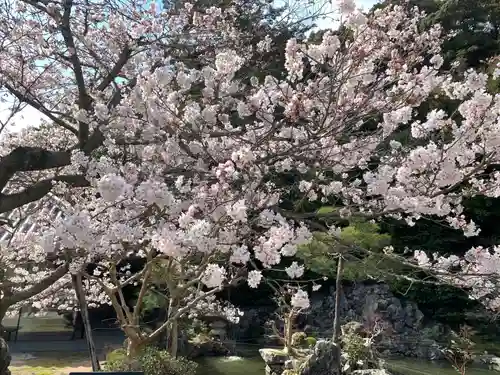 清荒神清澄寺の自然