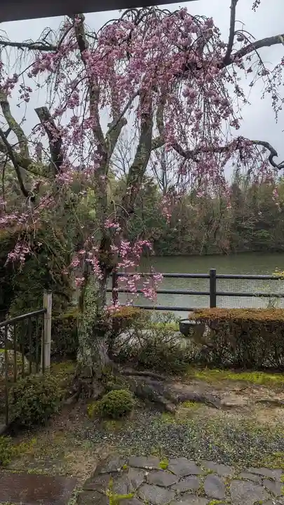 正法寺(京都府)
