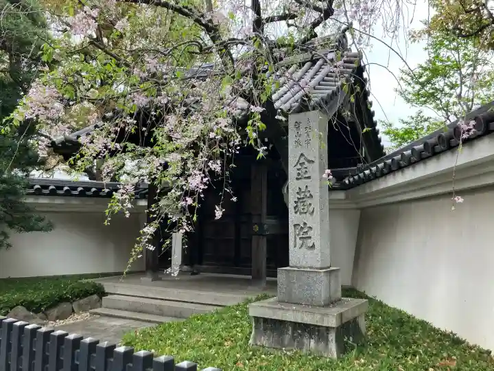 金藏院の{uncategorized: "未分類", other: "その他", undefined: "問題あり", building: "その他建物", grave: "お墓", sacred_gate: "鳥居", guardian: "狛犬", statue: "像", buddha: "仏像", history: "歴史", nature: "自然", garden: "庭園", animal: "動物", pagoda: "塔", temizu: "手水舎", mountain_gate: "山門・神門", sanctuary: "本殿・本堂", subordinate: "末社・摂社", art: "芸術", scenery: "景色", jizo: "地蔵", ema: "絵馬", goshuin: "御朱印", omikuji: "おみくじ", items: "授与品その他", amulet: "お守り", goshuincho: "御朱印帳", eats: "食事", festival: "お祭り", votive_dance: "神楽", shichigosan: "七五三参", wedding: "結婚式", experience: "体験その他", initially: "初詣", around: "周辺", anti_infection: "感染症対策"}