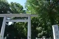 阿佐ヶ谷神明宮(東京都)