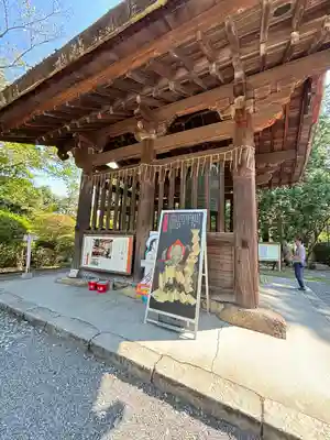 園城寺（三井寺）(滋賀県)