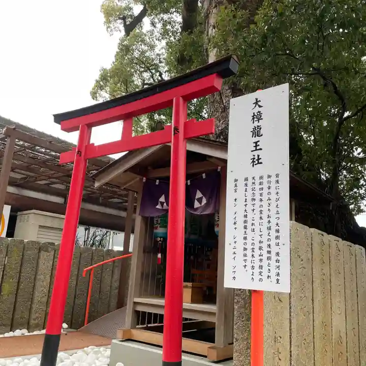 金剛宝寺(紀三井寺)(和歌山県)
