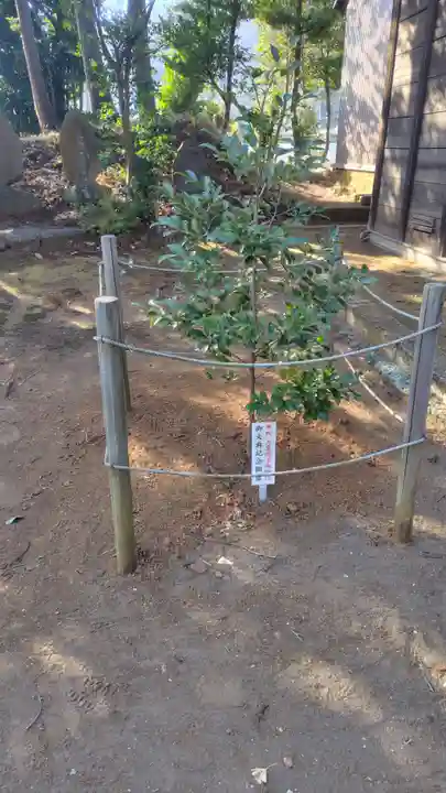 石座神社(神奈川県)