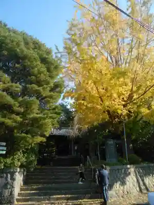 安國論寺（安国論寺）のその他建物