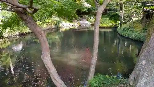 鶴岡八幡宮(神奈川県)