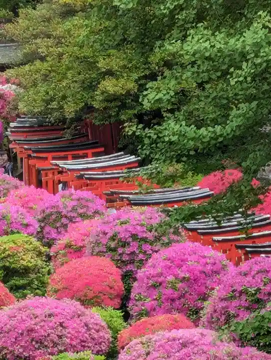 根津神社(東京都)
