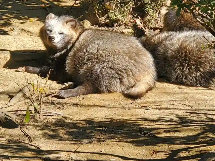 鑁阿寺(栃木県)