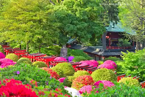根津神社(東京都)