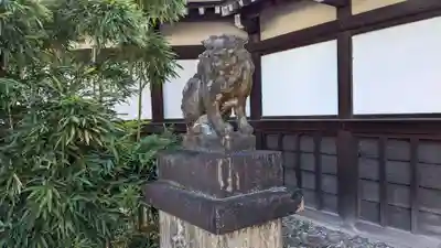 京都乃木神社の狛犬