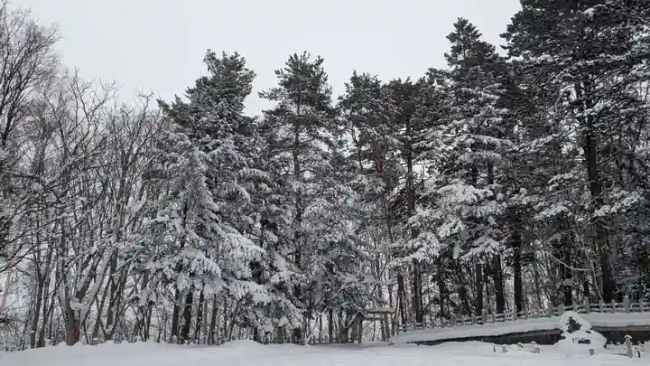 上川神社の自然