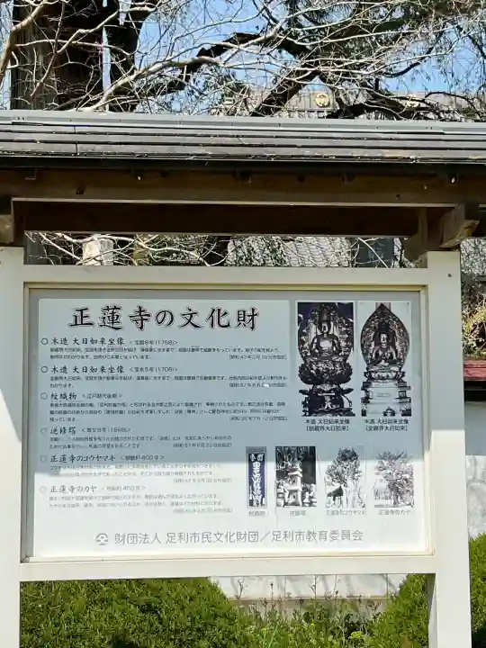 正蓮寺の{uncategorized: "未分類", other: "その他", undefined: "問題あり", building: "その他建物", grave: "お墓", sacred_gate: "鳥居", guardian: "狛犬", statue: "像", buddha: "仏像", history: "歴史", nature: "自然", garden: "庭園", animal: "動物", pagoda: "塔", temizu: "手水舎", mountain_gate: "山門・神門", sanctuary: "本殿・本堂", subordinate: "末社・摂社", art: "芸術", scenery: "景色", jizo: "地蔵", ema: "絵馬", goshuin: "御朱印", omikuji: "おみくじ", items: "授与品その他", amulet: "お守り", goshuincho: "御朱印帳", eats: "食事", festival: "お祭り", votive_dance: "神楽", shichigosan: "七五三参", wedding: "結婚式", experience: "体験その他", initially: "初詣", around: "周辺", anti_infection: "感染症対策"}