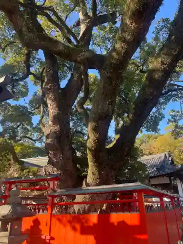 龍田神社(奈良県)