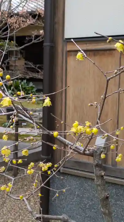 勝林寺(京都府)