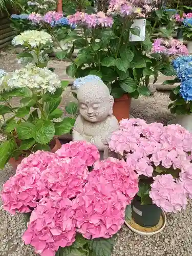 岡寺（龍蓋寺）(奈良県)