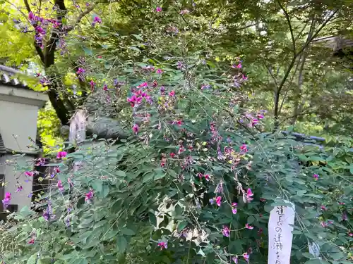 梨木神社(京都府)
