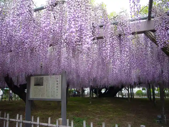 玉敷神社(埼玉県)