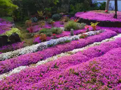 寿量山 速成寺(奈良県)