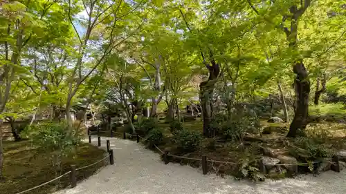 圓光寺(京都府)