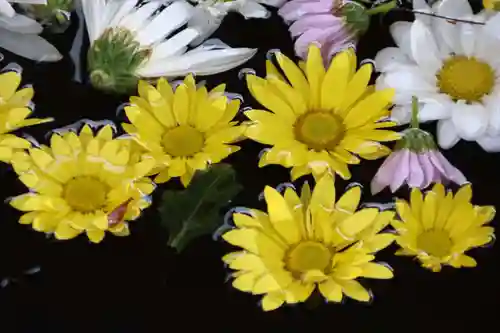 大鏑神社の手水舎