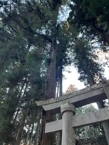 大宮温泉神社(栃木県)
