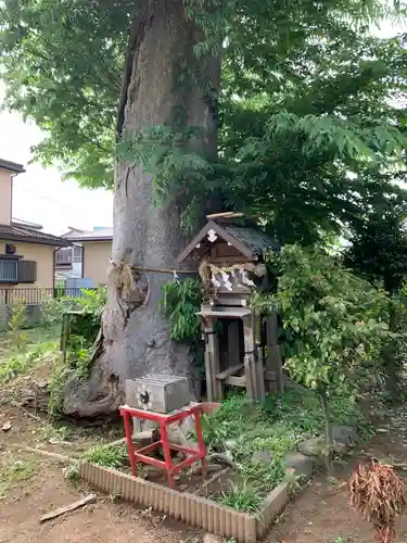 園生神社(千葉県)