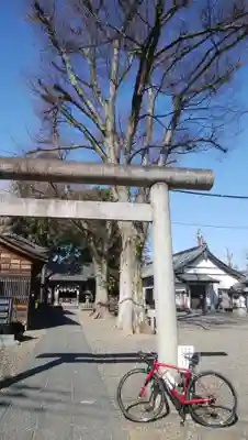 浅間神社の鳥居