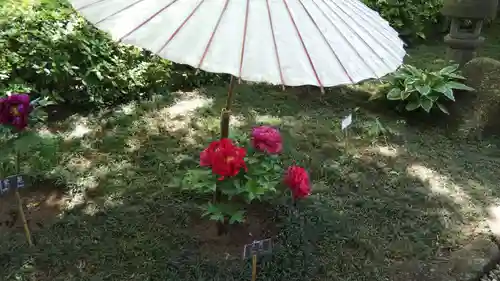 上野東照宮の自然