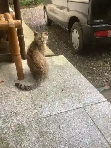 玉野御嶽神社の動物