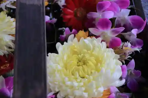 豊景神社の手水