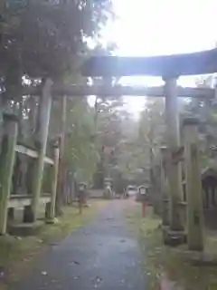 舟津神社の鳥居