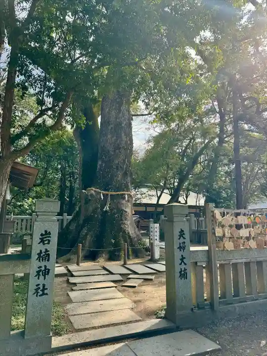 伊弉諾神宮(兵庫県)