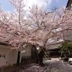 正寿院(京都府)